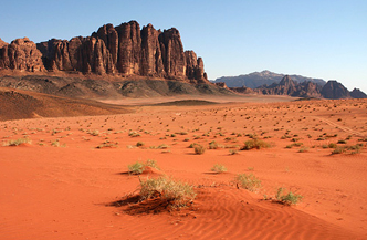 Jordanie Individueel 8daagse rondreis